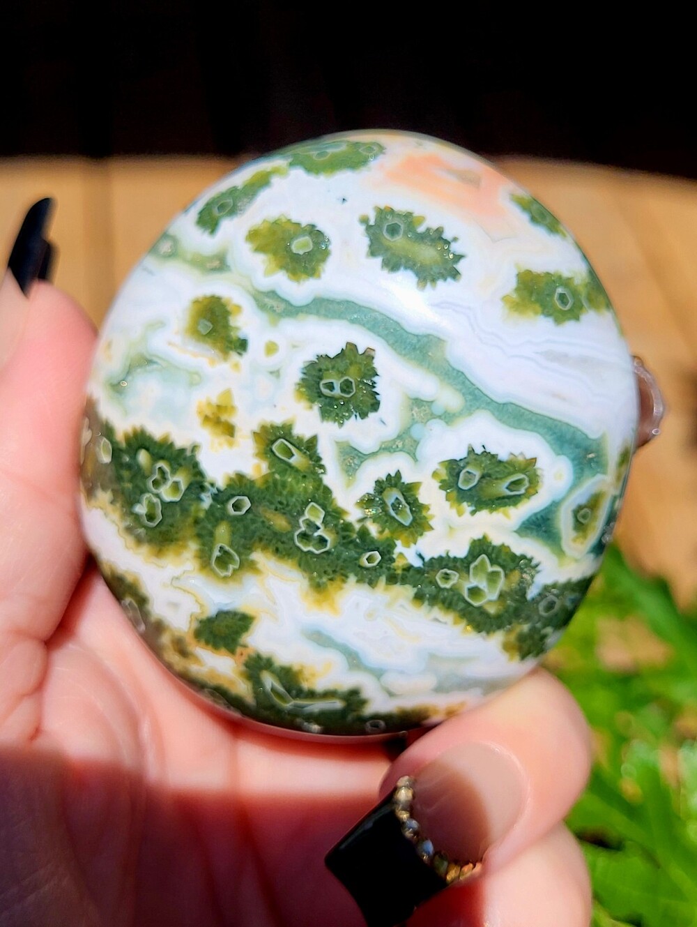 7th Vein Ocean Jasper Palm